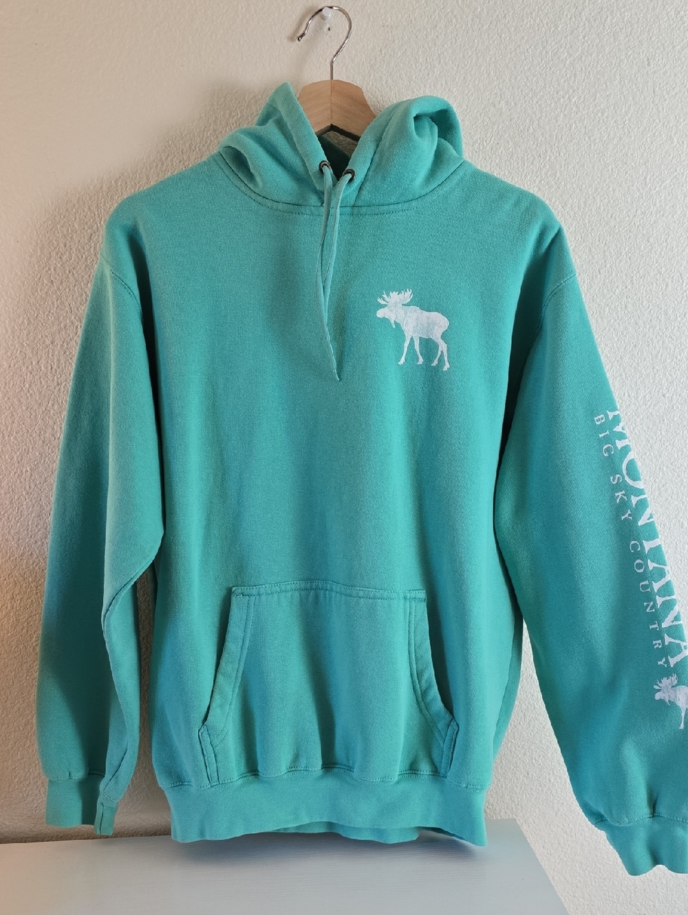Prairie Mountain Big Sky Country Turquoise Moose Hoodie - Men